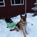 Jeri Meadows - @7meadowlark - Instagram
