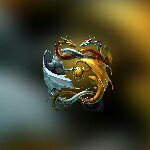 Jeri Mitchell - @dragonlady2886 - Instagram