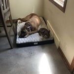 Jeri Mitchell - @bubbasscraps - Instagram