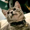 jericho_moon - @jericho_moon - TikTok