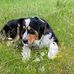 Jeri-Anne Murray - Facebook