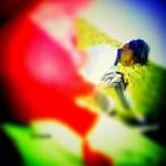jeriprincekumar - @jeriprincekumar - Instagram