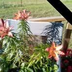 Jeri Randall - Facebook