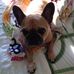 Jeri Skinner - Facebook