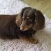 Jeri Skinner Ligon - Facebook