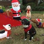 Jeri Steele - @jsteele3580 - Instagram
