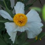 Jeri Sutherland - @jsutherland1948 - Instagram