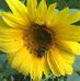 Jerrie Swanson - Facebook