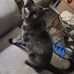 Jeri Terrell - Facebook