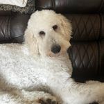 Jeri Washington Barker - @jeribarker64 - Instagram