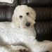 Jeri Washington Barker - Facebook