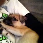 Jermain Malavet - @crazycone03 - Instagram