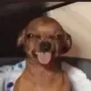 jermainehullis - @userrandom9642 - TikTok