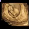 jermaine patrick102323 - @jermaine.patrick3 - TikTok