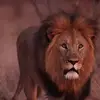 Jermario Gordon - @jermariogordon0 - TikTok
