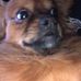 Jerod Anderson - Facebook