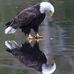 Jerod Hall - Facebook