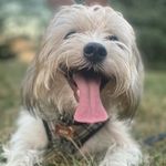 Jerome Acosta Tabudlong - @jerome.acosta - Instagram