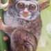 Jerome Amos - Facebook