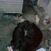 Jerome Antonio - Facebook