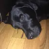 jeremy.armour - @jeremy.armour - TikTok