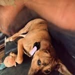 Jerome Atkins - @jeromeatkins9 - Instagram