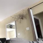 Jerome Atkins - @heron_223 - Instagram