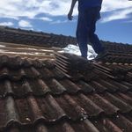 Jerome Bacon - @jerome.bacon.921 - Instagram