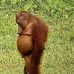Jeremy Batchelor - Facebook
