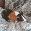 Jerome Baumier - @jerome.baumier - TikTok