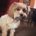 Bentley Jerome - @bentley_jerome - Instagram
