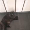 Jerome Berg - @jerome.berg - TikTok