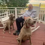 Jerome Berman - @berman.jerome - Instagram