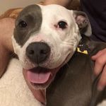Jerome Biggs - @romeebiggs - Instagram