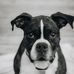 Alonzo Jerome Bingham - Facebook
