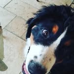 Jérôme blanc - @jeromeblanc15 - Instagram
