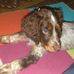 Jerome Boge - Facebook