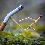 jerome bosse - @jeromebosse1 - Instagram