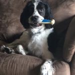 Bowser Jerome - @bowserjerome - Instagram