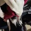 JeromeBrandonkZ - @jeromebrandonkz - TikTok
