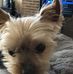 Jerome Casey - Facebook