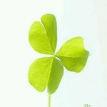 Jerome Chan - @jerome.chan.5201 - Instagram