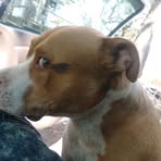 Jerome Clyburn - Facebook