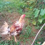 Jerome Castillo - Facebook