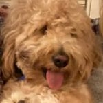 Jerry Curran - @jerome2the_dome - Instagram