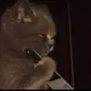 Jerome Duran - @jerome.duran8 - TikTok