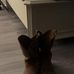 Jeremy Egan - Facebook