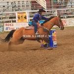 Aspen Davis - @jeromecountyfairprincess13 - Instagram