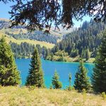 Jérôme Florence - @jflorence77 - Instagram