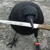 jerome - @jeromethecrowfriend - TikTok